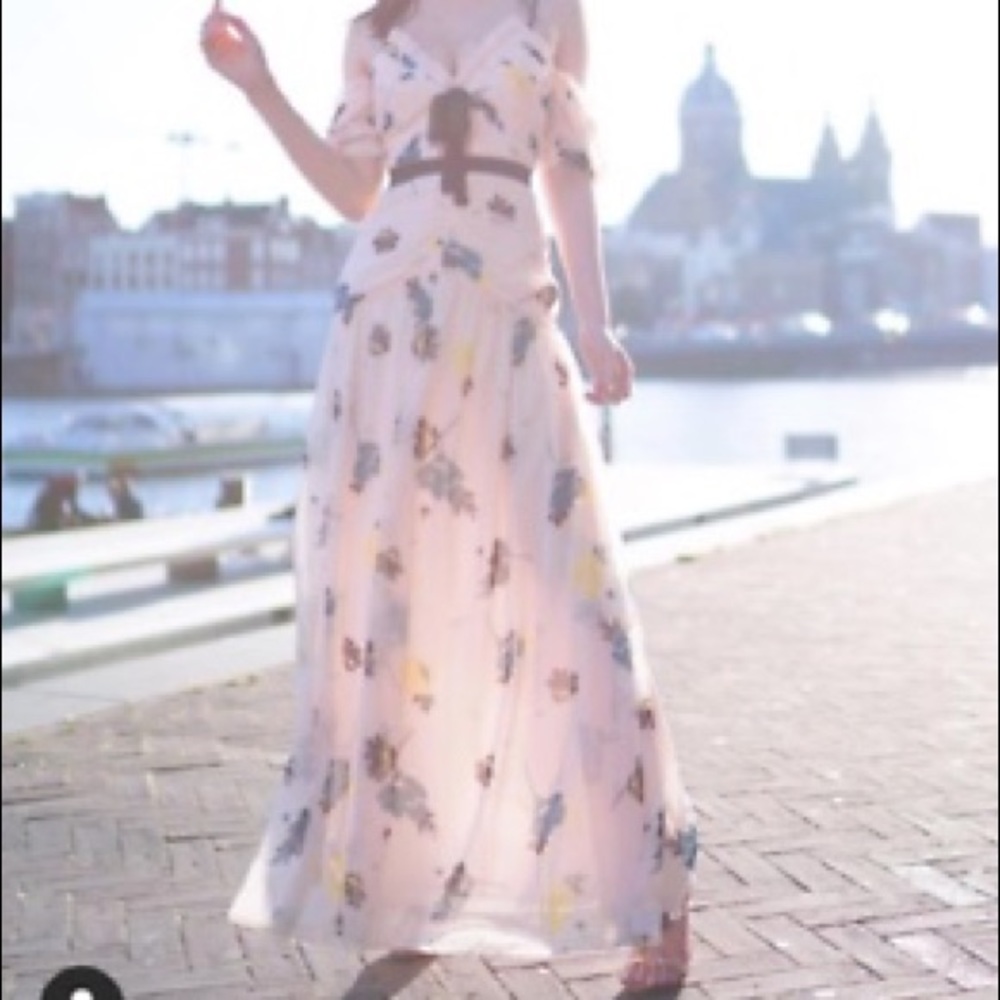 BNWT Self-portrait graphic floral print pink dress